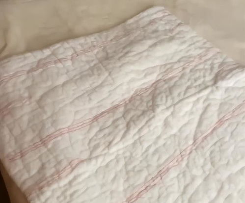 福建一女子攢五只貓兩年掉的毛,混合棉花做成被子,網(wǎng)友 有心了